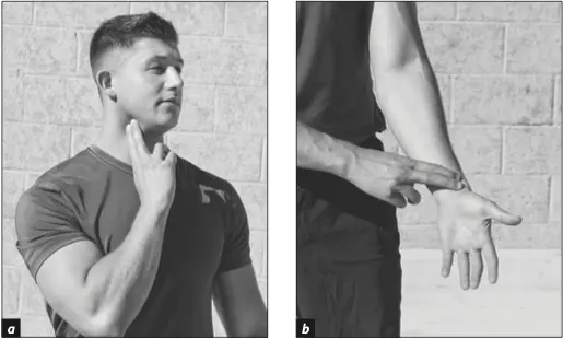 Figure 3.1 Finding your pulse: (a) at the neck or (b) at the wrist.