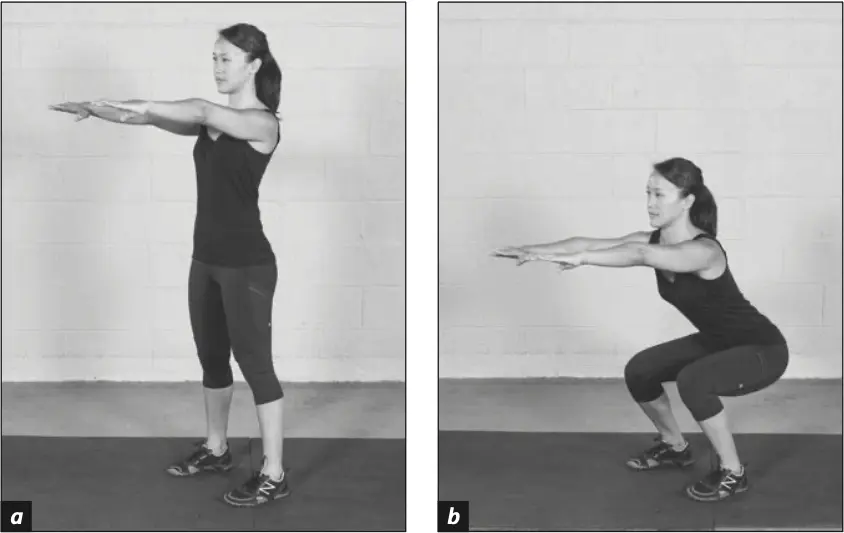 Figure 4.2 Squat.
