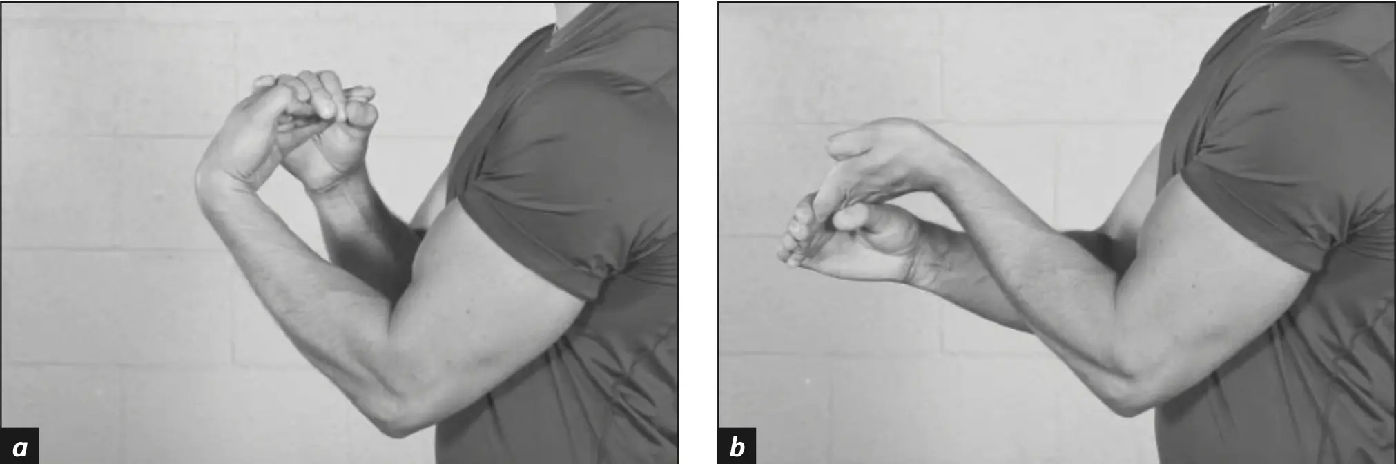 Figure 5.1 Finger (a) flexion and (b) extension.