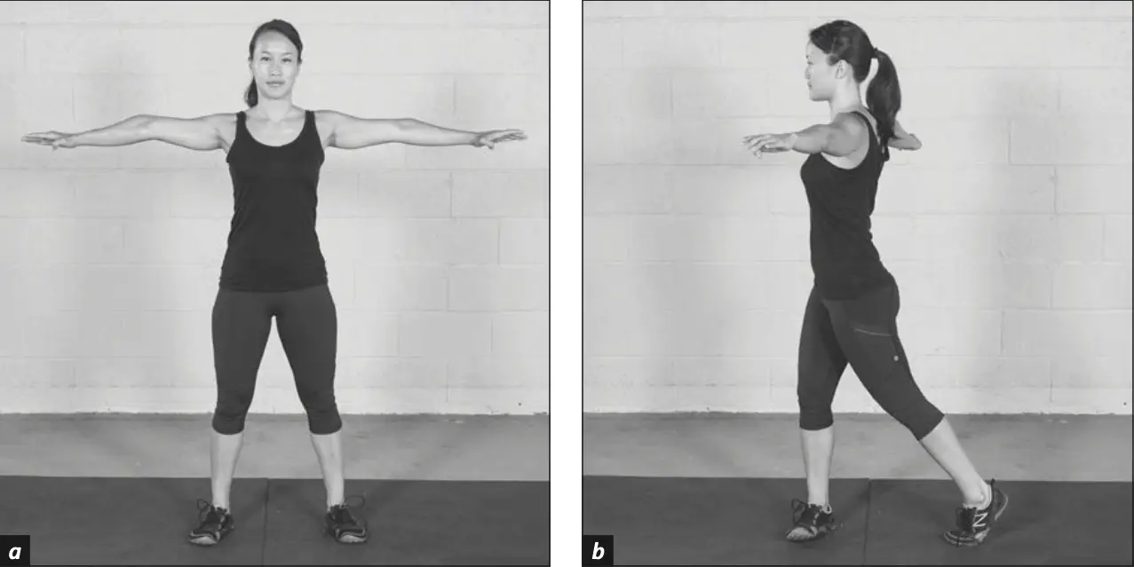 Figure 5.10 trunk twists.