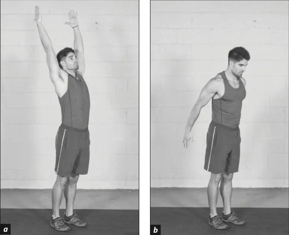 Figure 5.20 Vertical chest opener.