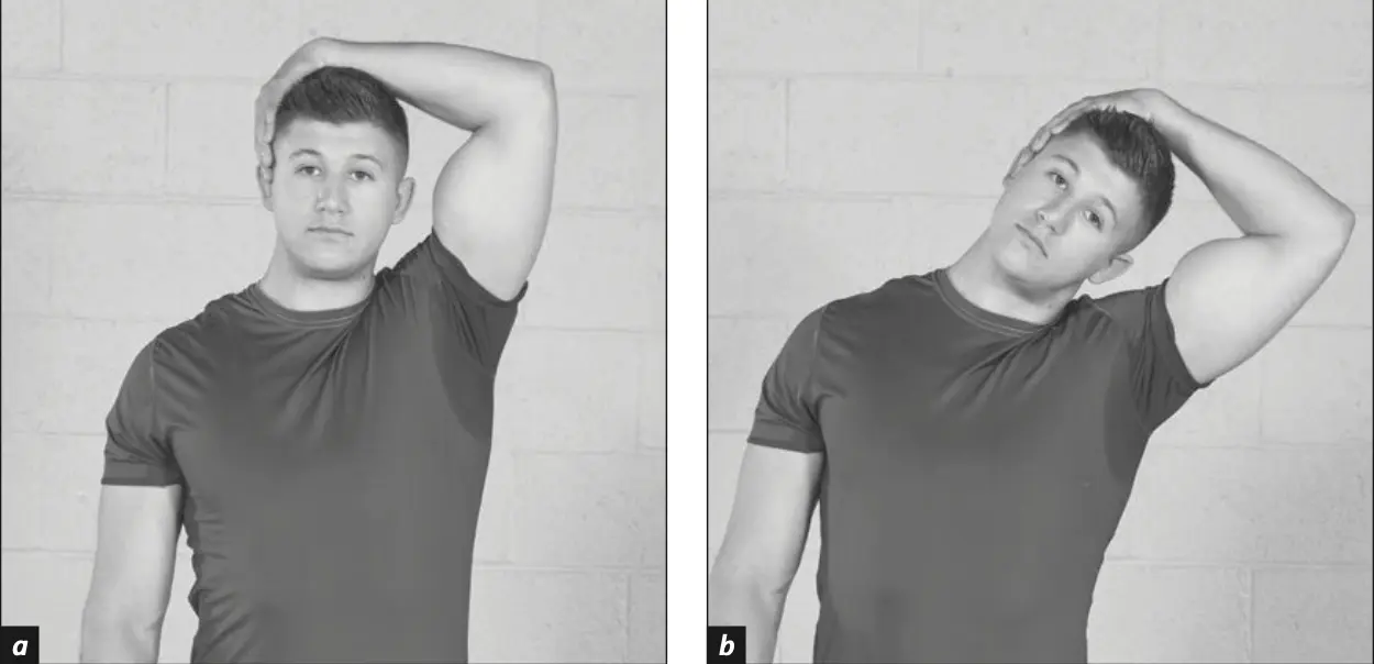 Figure 5.28 Lateral Neck Stretch.