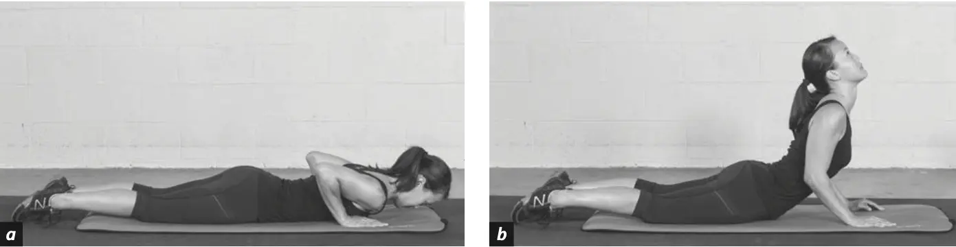 Figure 5.34 Spinal Extension.